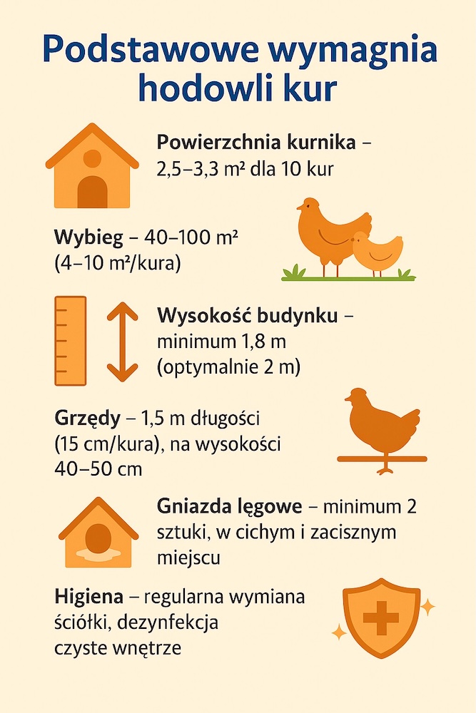 projekt kurnika na 10 kur - kwestie dobrobytu i bezpieczeństwa 