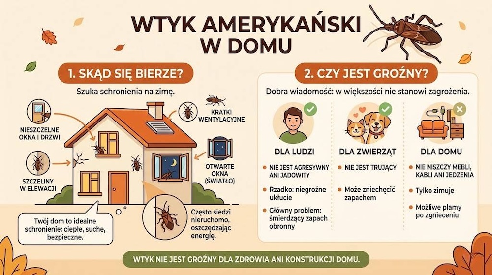 wtyk amerykański w domu - bezpieczeństwo 